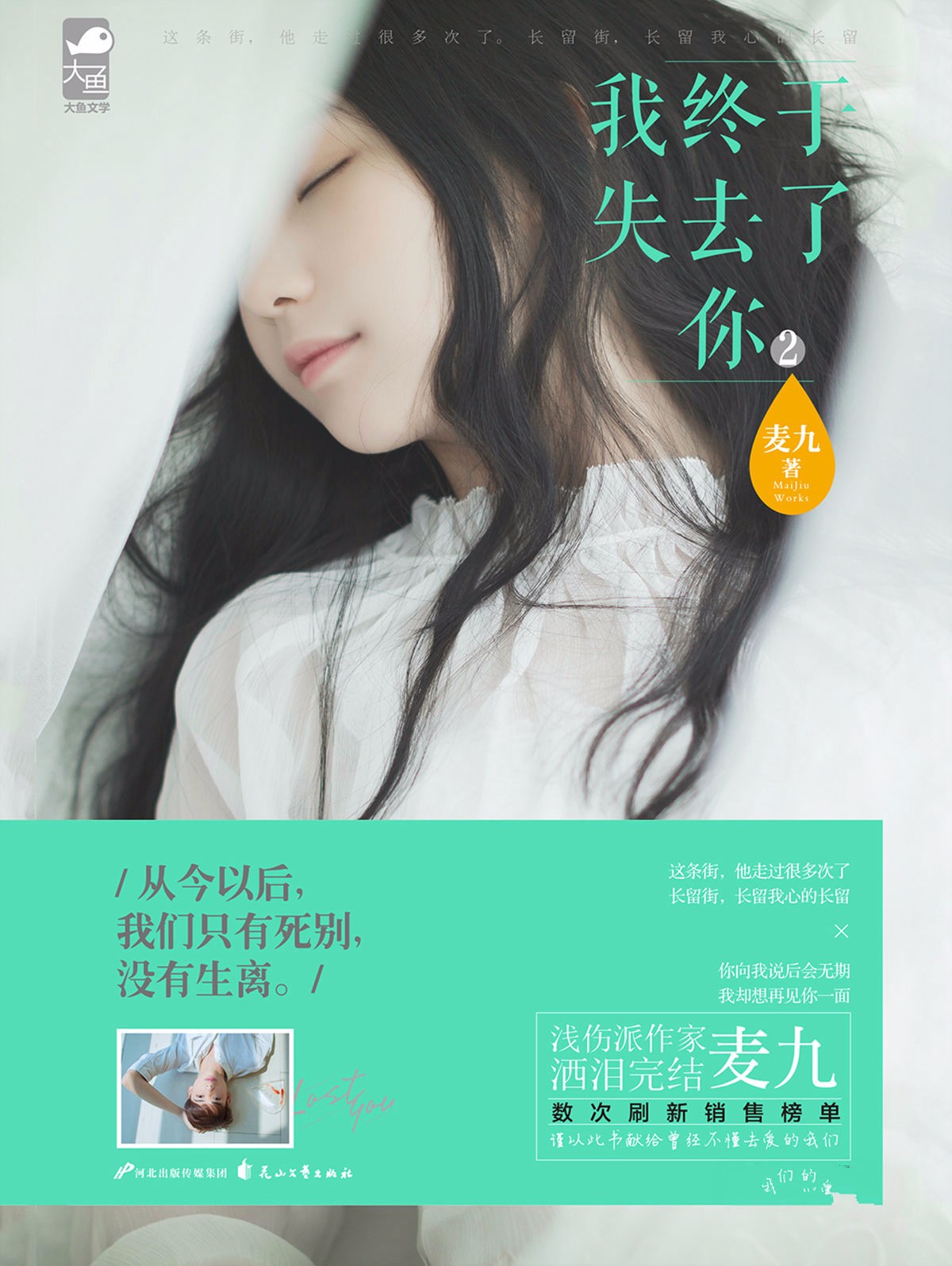 我终于失去了你2